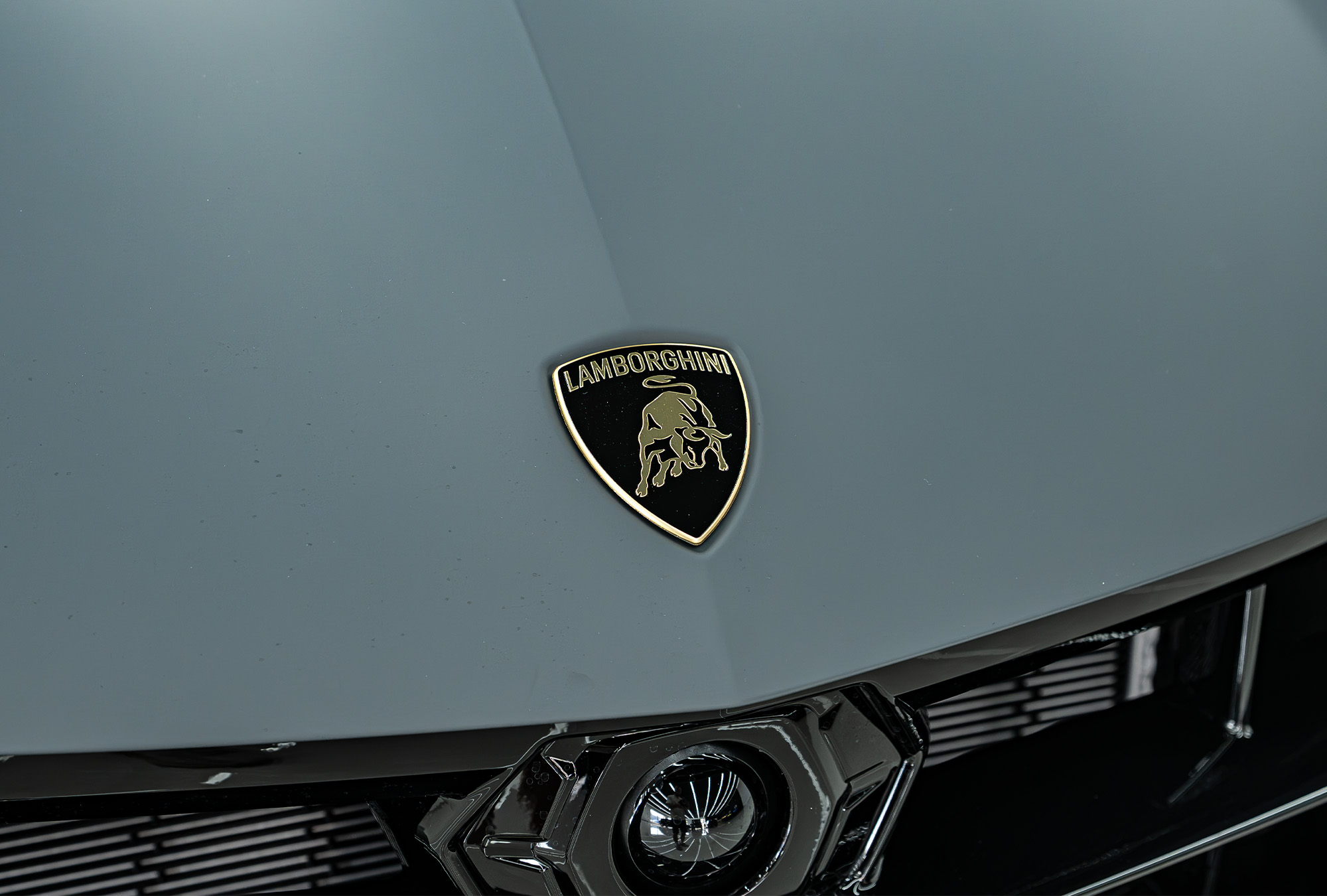 LAMBORGHINI photo 19