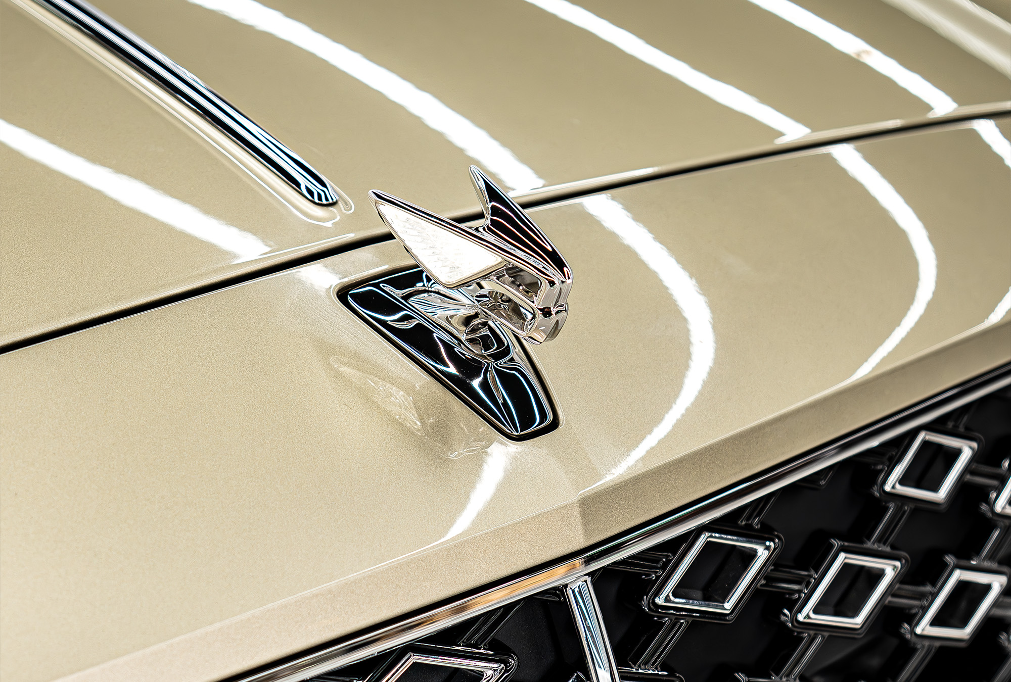 BENTLEY photo 14