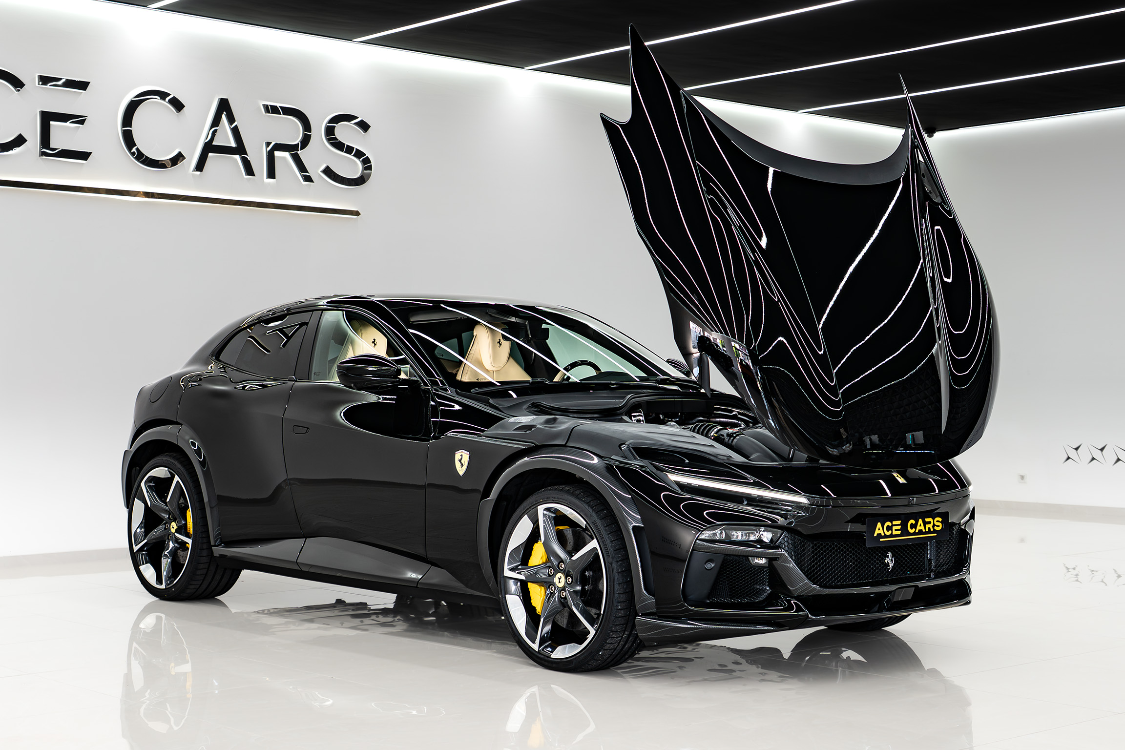 FERRARI photo 19