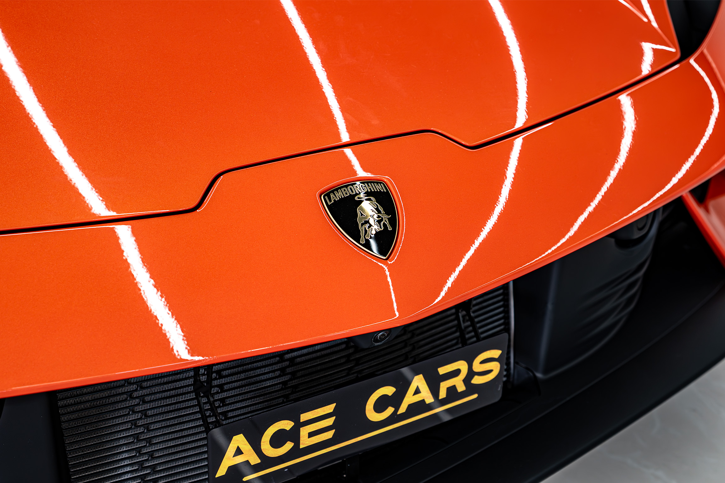 LAMBORGHINI photo 16